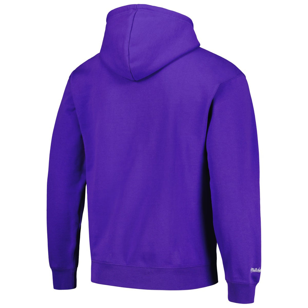 Mitchell & Ness Sacramento Kings Hardwood Classics Tonal Pullover Hoodie