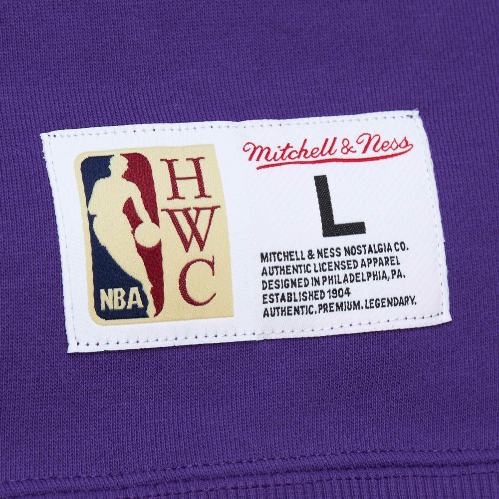 Mitchell & Ness Sacramento Kings Hardwood Classics Tonal Pullover Hoodie