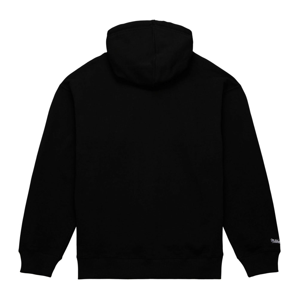Mitchell & Ness Toronto Raptors Hardwood Classics Tonal Pullover Hoodie