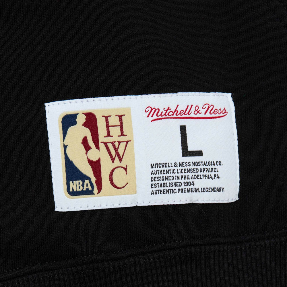 Mitchell & Ness Toronto Raptors Hardwood Classics Tonal Pullover Hoodie