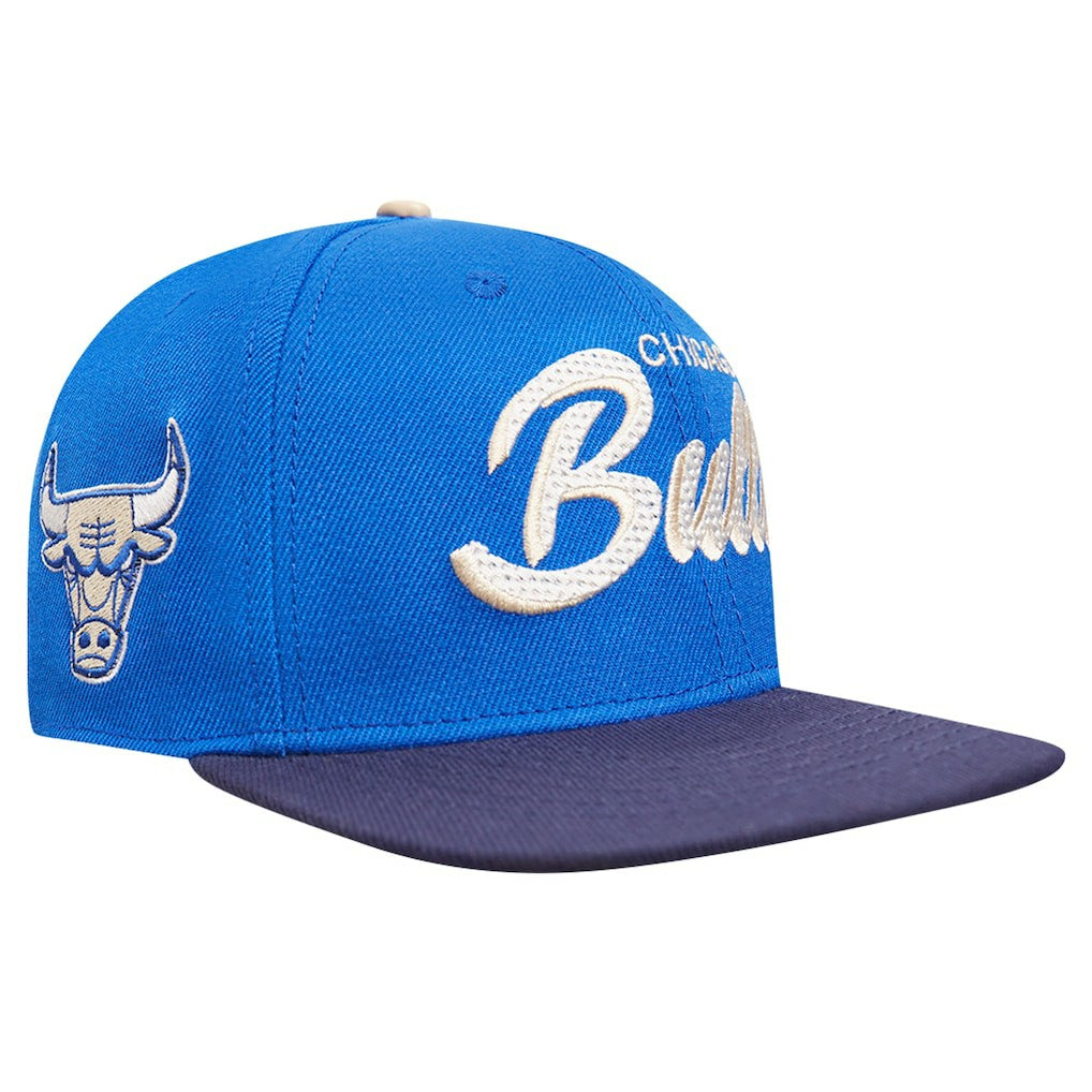 Chicago Bulls Pro Standard Legacy Snapback Hat