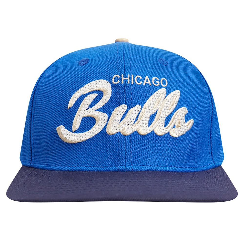 Chicago Bulls Pro Standard Legacy Snapback Hat