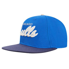 Chicago Bulls Pro Standard Legacy Snapback Hat