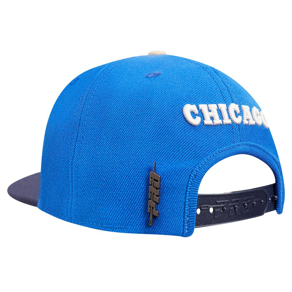 Chicago Bulls Pro Standard Legacy Snapback Hat