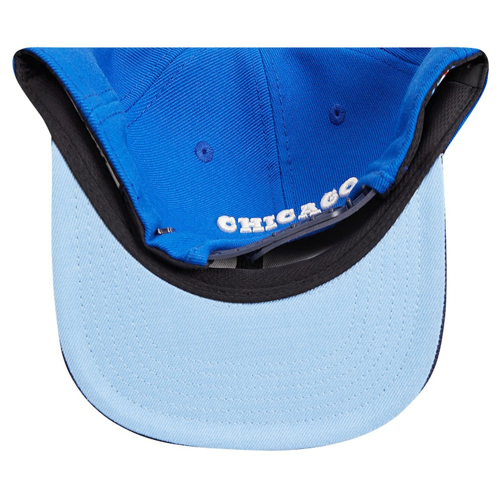Chicago Bulls Pro Standard Legacy Snapback Hat