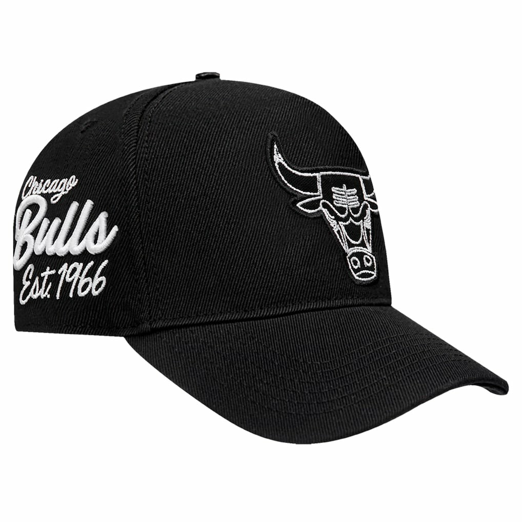 Chicago Bulls Pro Standard Paint the City Pinch Front Snapback Hat