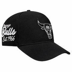Chicago Bulls Pro Standard Paint the City Pinch Front Snapback Hat