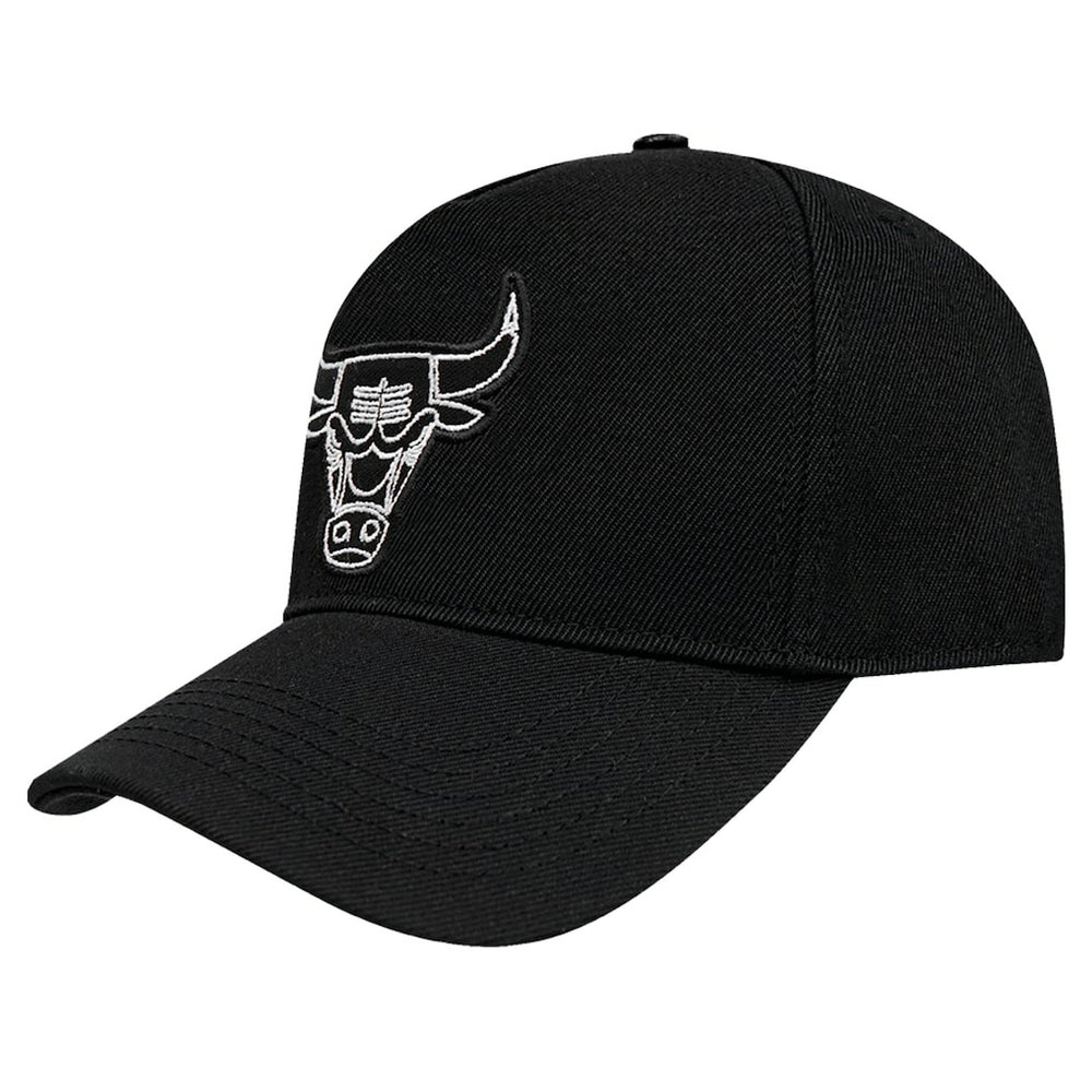 Chicago Bulls Pro Standard Paint the City Pinch Front Snapback Hat