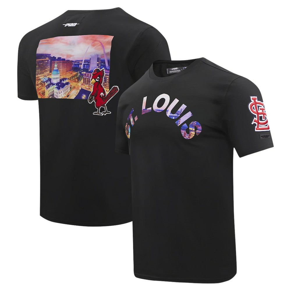 Black St. Louis Cardinals Pro Standard Cityscape T-Shirt