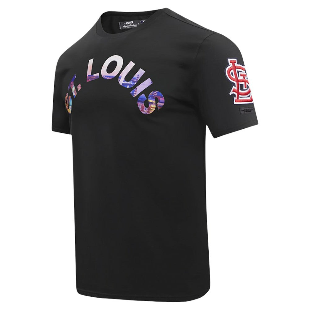 Black St. Louis Cardinals Pro Standard Cityscape T-Shirt