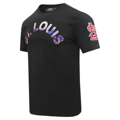 Black St. Louis Cardinals Pro Standard Cityscape T-Shirt
