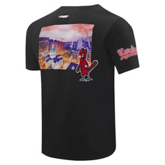 Black St. Louis Cardinals Pro Standard Cityscape T-Shirt