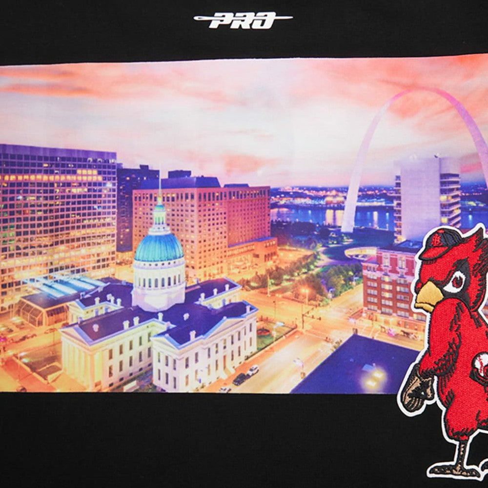 Black St. Louis Cardinals Pro Standard Cityscape T-Shirt