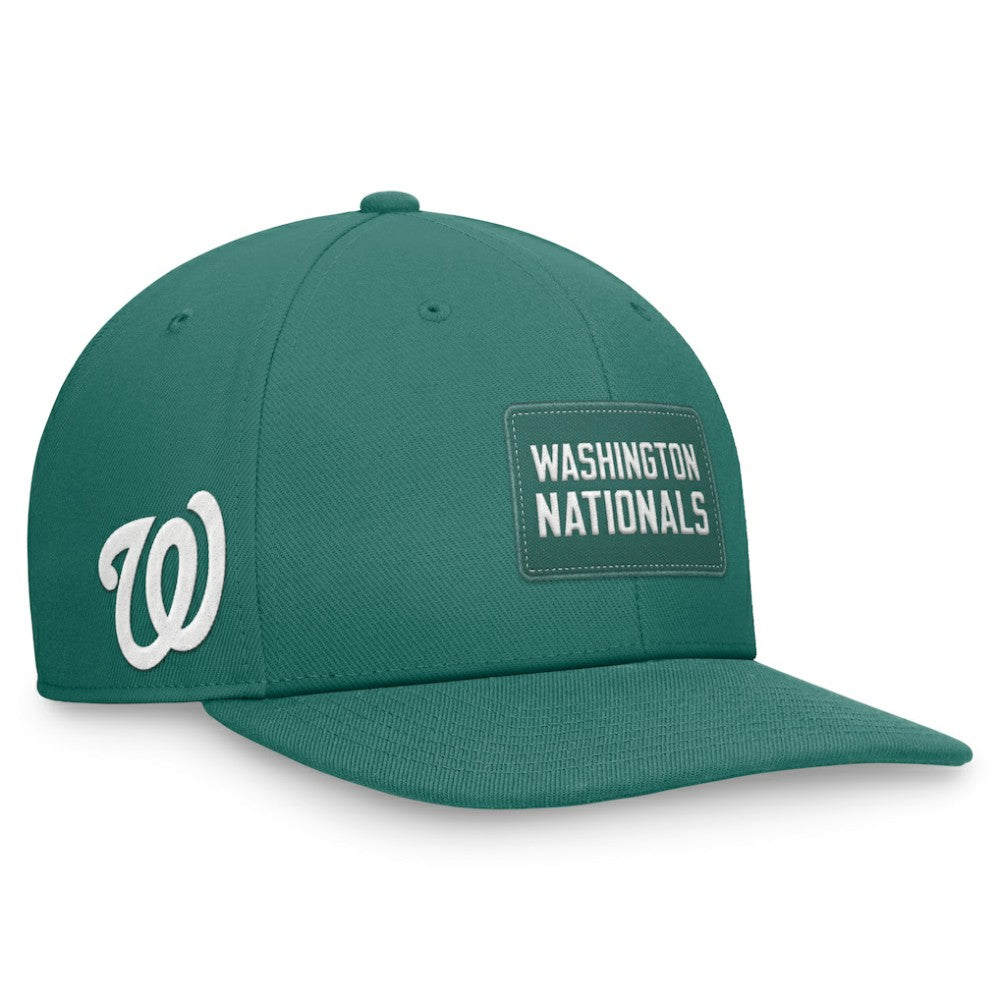 Green Washington Nationals Nike Bicoastal Pro Performance Snapback Hat