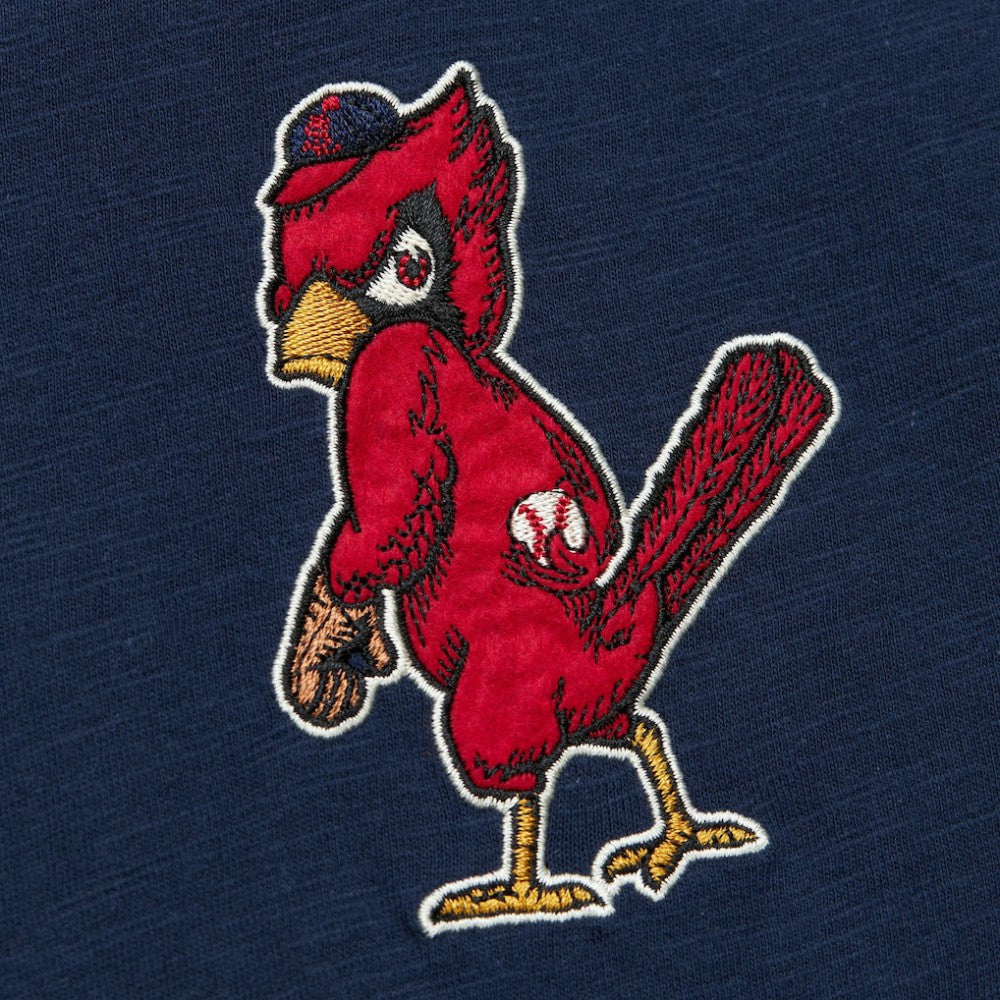 Navy St. Louis Cardinals Mitchell & Ness Cooperstown Collection Legendary Raglan Slub Henley Three-Quarter Sleeve T-Shirt