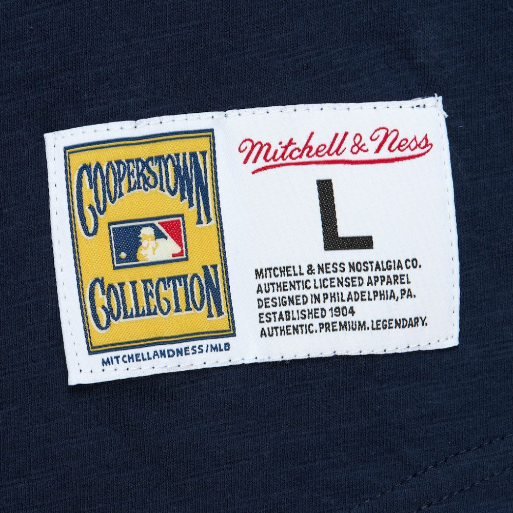 Navy St. Louis Cardinals Mitchell & Ness Cooperstown Collection Legendary Raglan Slub Henley Three-Quarter Sleeve T-Shirt