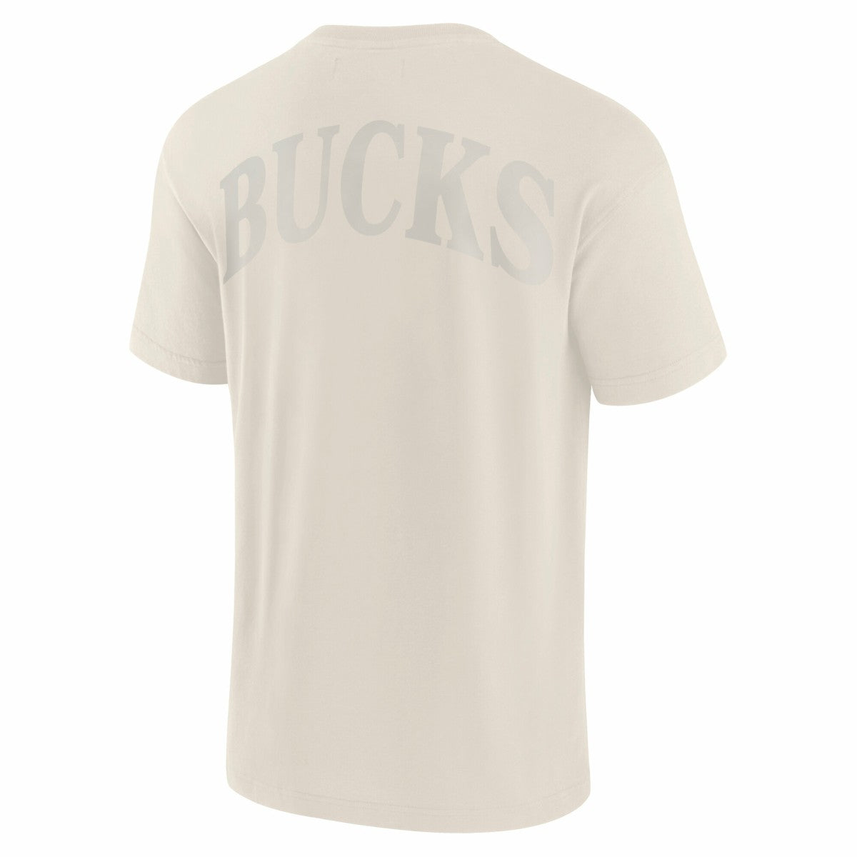 Fanatics Milwaukee Bucks Elements Iconic T-Shirt