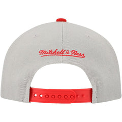 Gray St. Louis Cardinals Mitchell & Ness Knock Out Panel Snapback Hat