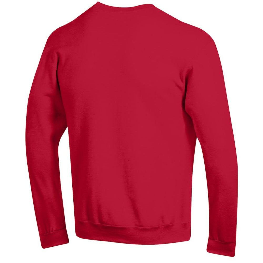 NHL Florida Panthers Champion Eco Powerblend Crewneck Sweatshirt