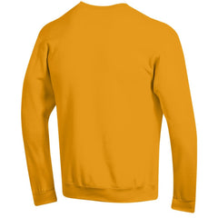 NHL Pittsburgh Penguins Champion Eco Powerblend Crewneck Sweatshirt