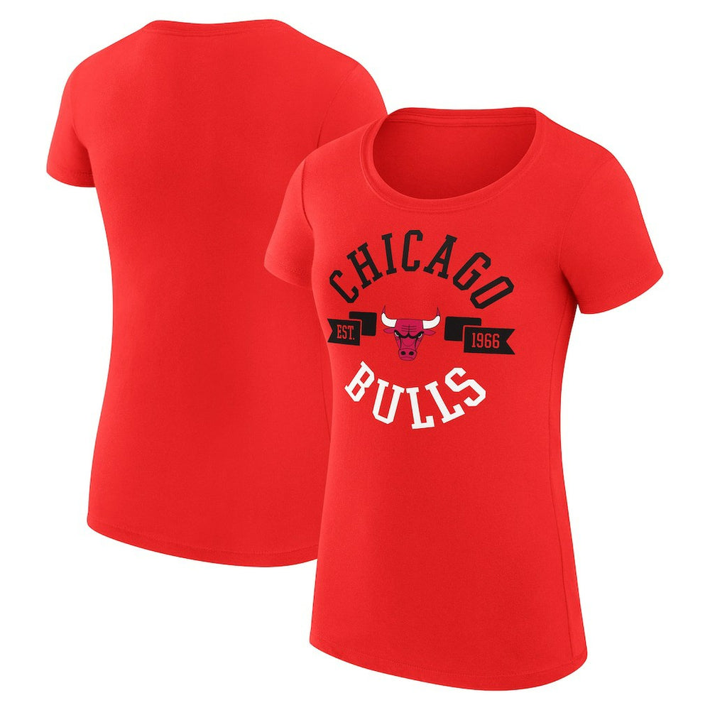 Chicago Bulls G-III 4Her by Carl Banks Women's Super-Slim Fit Lightweight Large City Logo T-Shirt sale