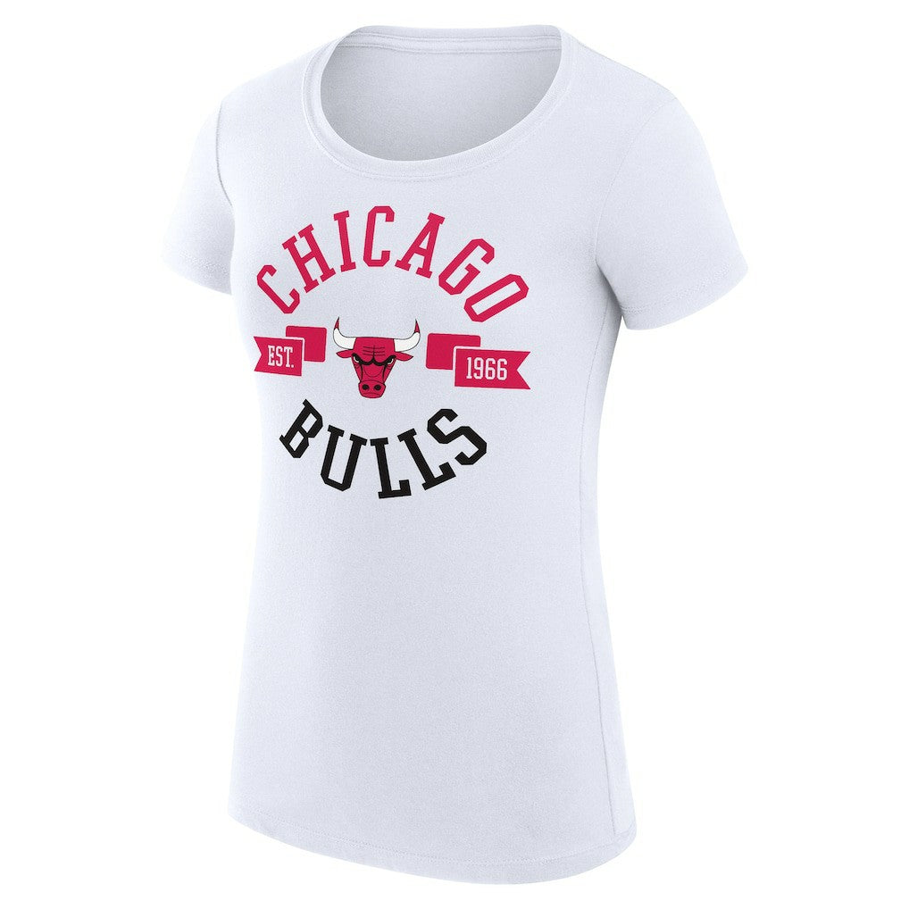 Chicago Bulls G-III 4Her by Carl Banks Women's Super-Slim Fit Lightweight Large City Logo T-Shirt sale