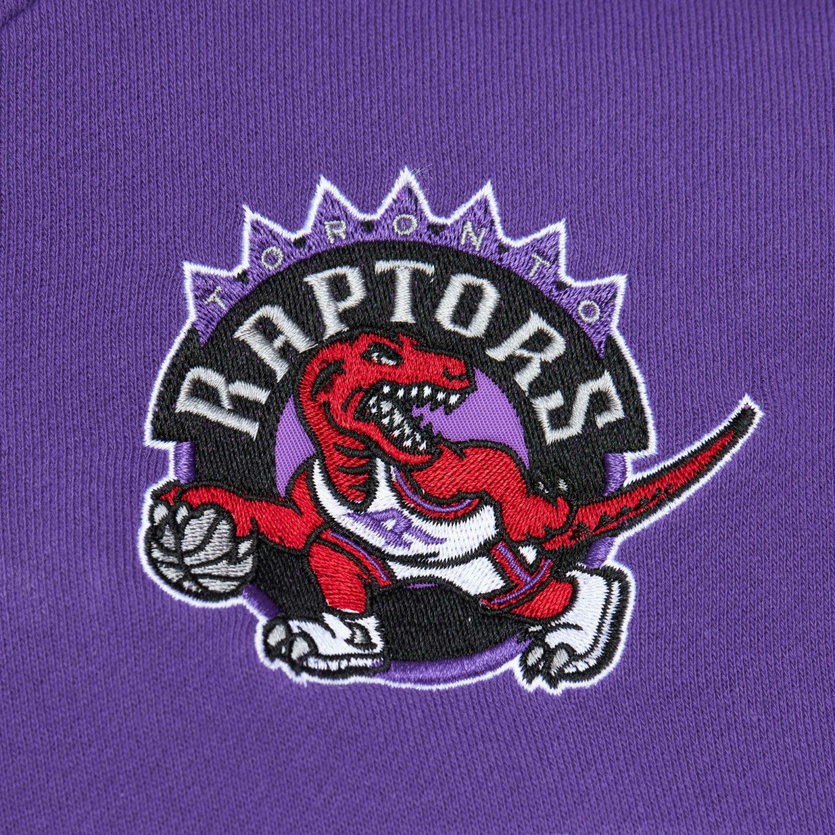 Mitchell & Ness Toronto Raptors Head Coach Pullover Hoodie