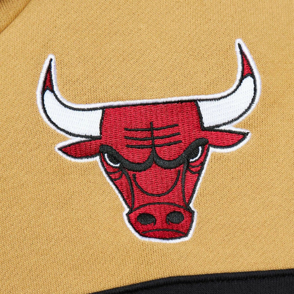 Mitchell & Ness Chicago Bulls Head Coach Pullover Hoodie