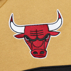 Mitchell & Ness Chicago Bulls Head Coach Pullover Hoodie