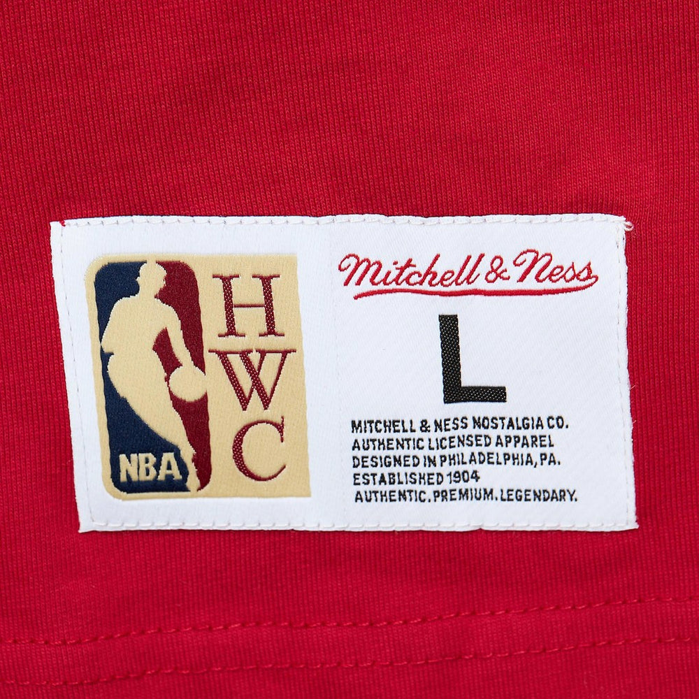 Mitchell & Ness Atlanta Hawks Hardwood Classics Team OG 2.0 Premium Vintage Logo T-Shirt