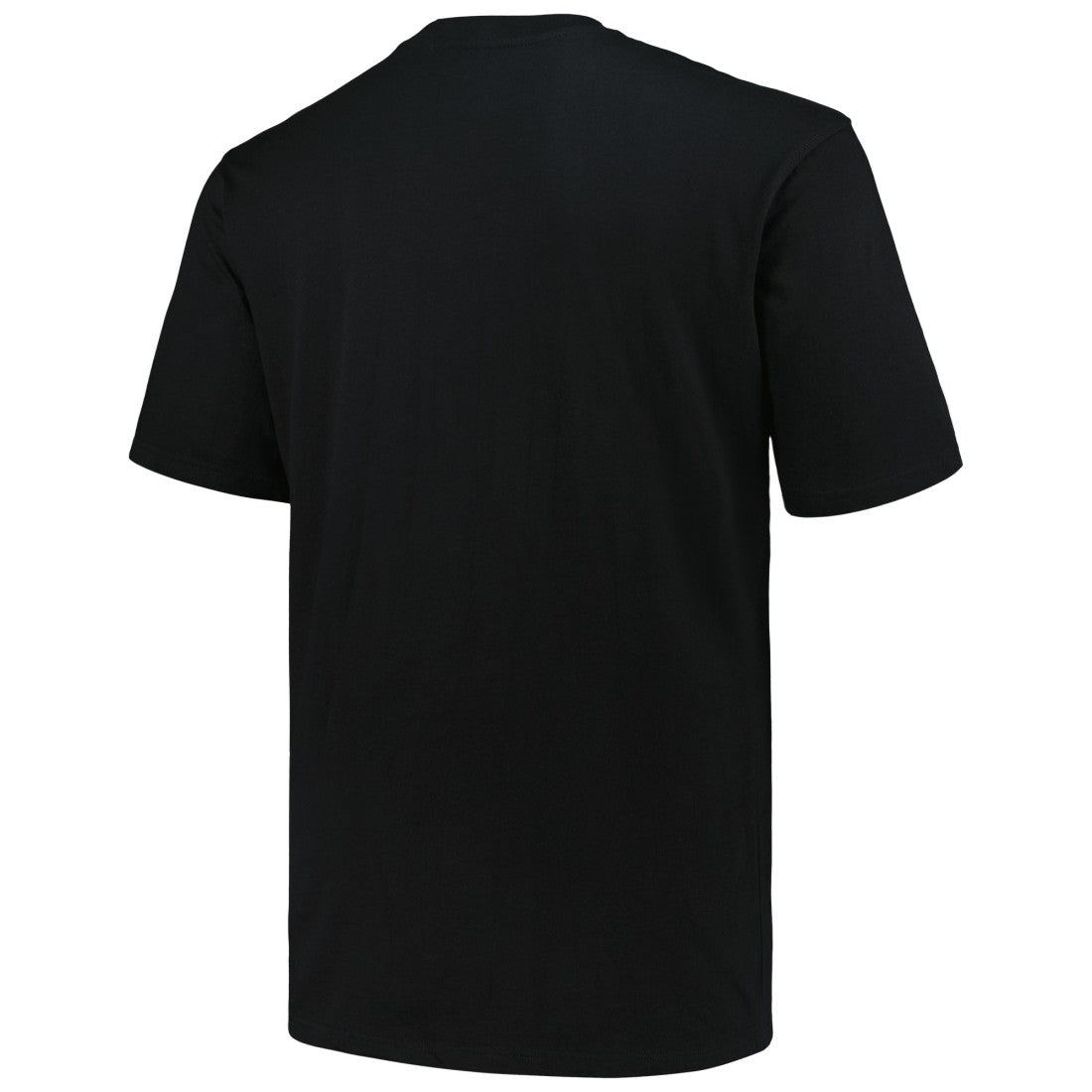 Big & Tall Pop T-Shirt - Tennessee Titans T-shirts