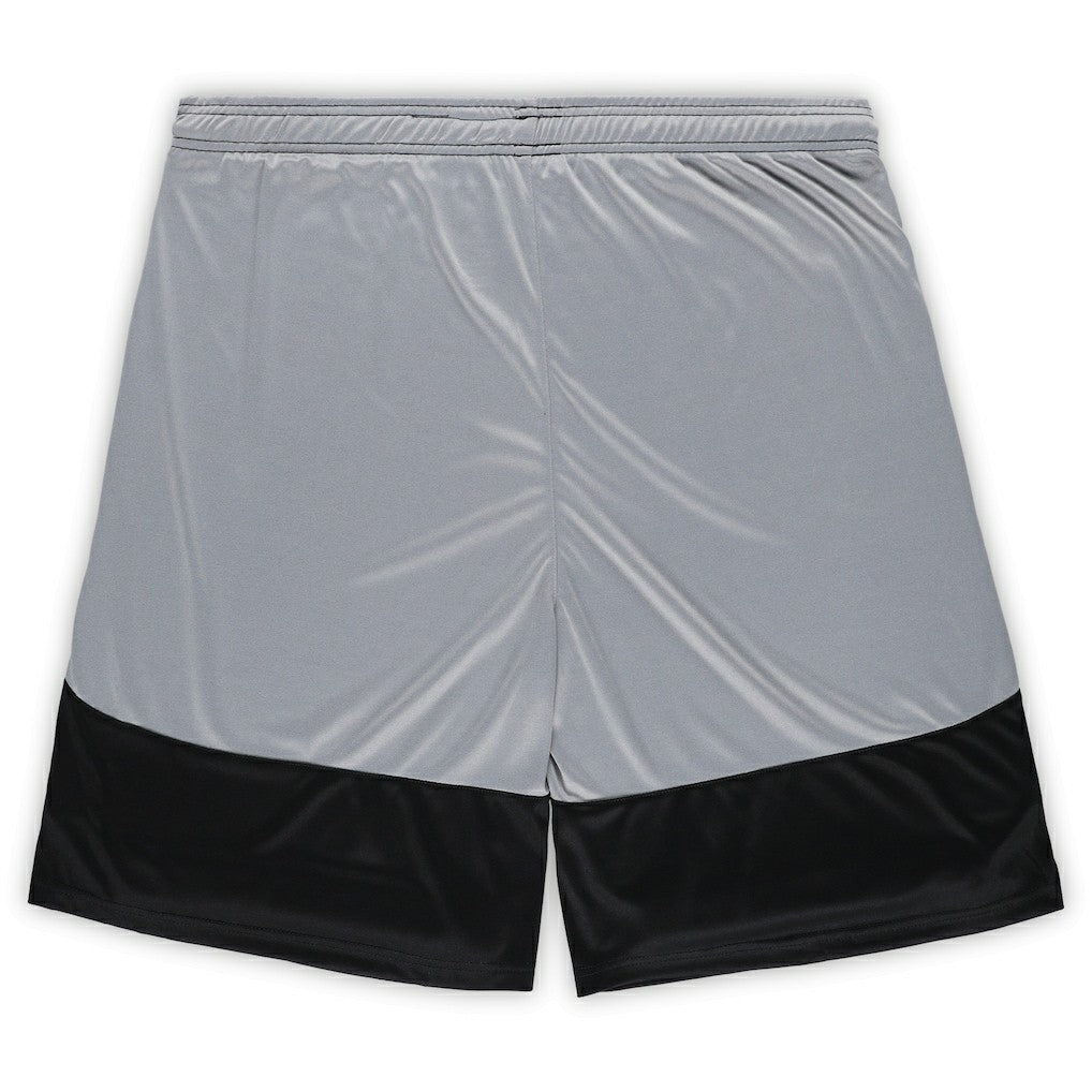 Big & Tall Team Logo Shorts - Pittsburgh Steelers Shorts