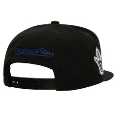 NHL Toronto Maple Leafs Mitchell & Ness Retro Script Colorblock Snapback Hat