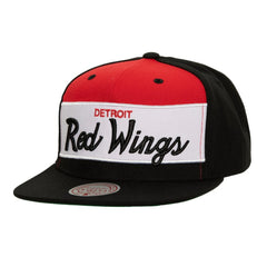 NHL Detroit Red Wings Mitchell & Ness Retro Script Colorblock Snapback Hat