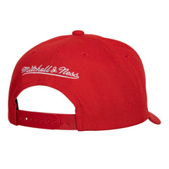 NHL New Jersey Devils Mitchell & Ness Team Ground Pro Adjustable Hat