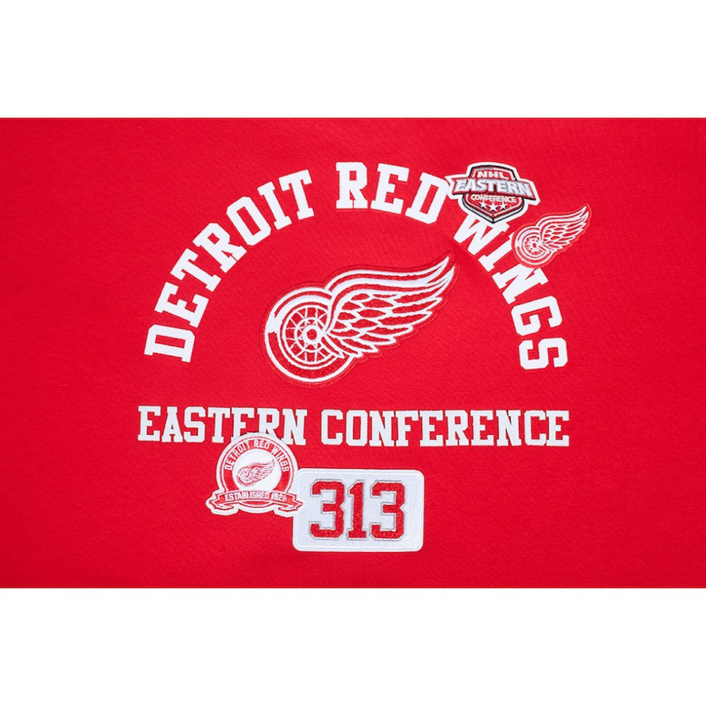 NHL Detroit Red Wings Pro Standard Women's Area Code Cropped Pullover Sweatshirt