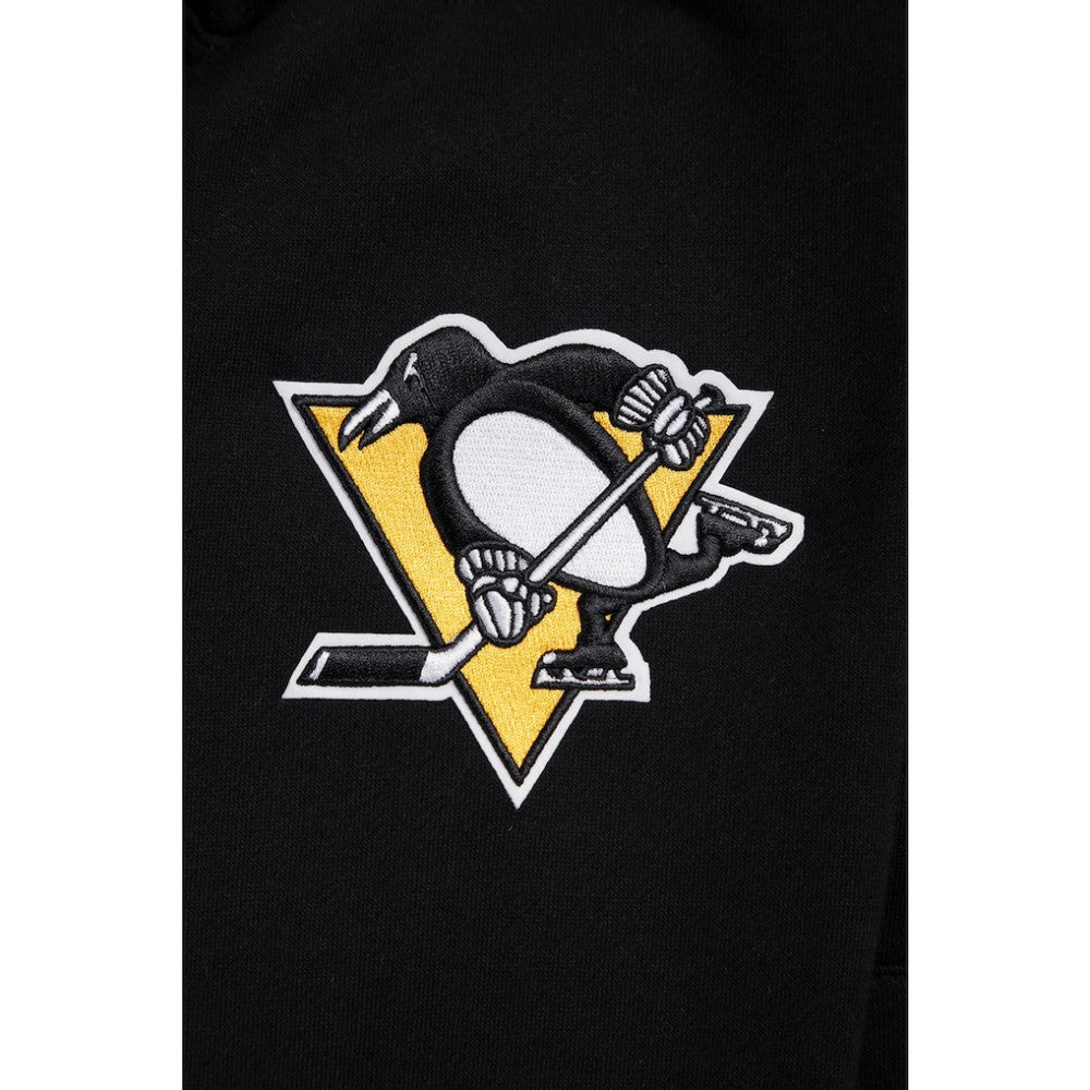 NHL Pittsburgh Penguins Pro Standard Paint the City Pullover Hoodie