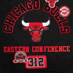 Chicago Bulls Pro Standard Women's Area Code Cropped Pullover Sweatshirt