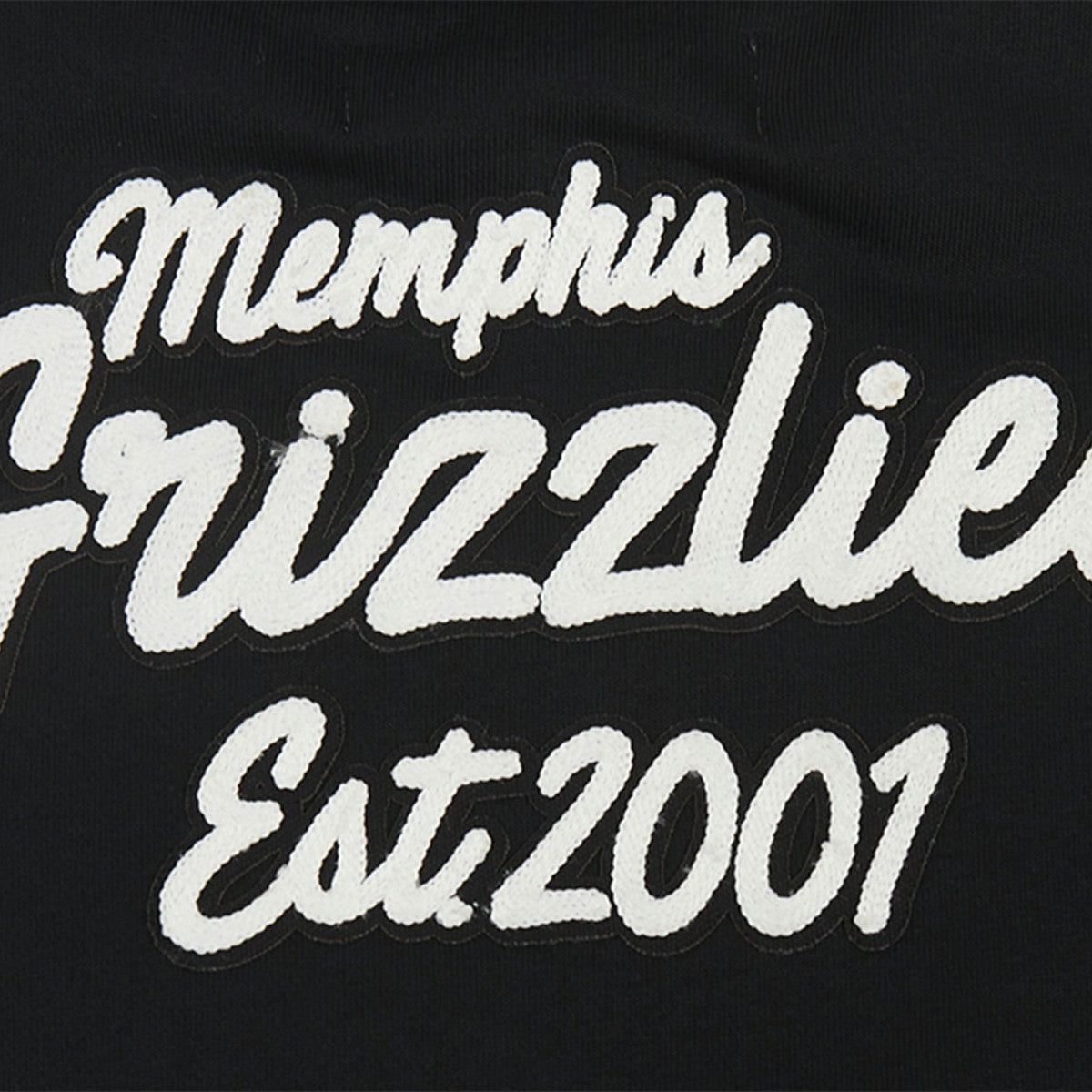 Memphis Grizzlies Pro Standard Women's Paint The City Cropped Pullover Sweatshirt