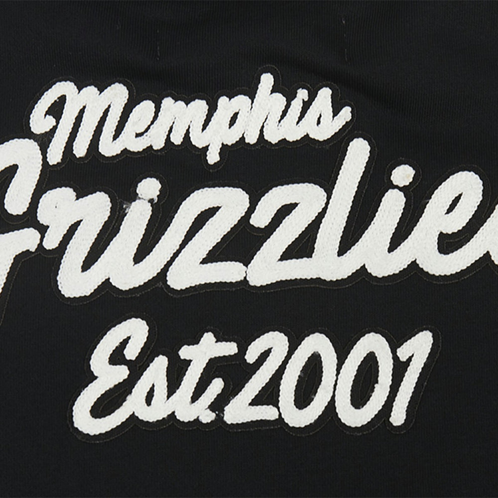 Memphis Grizzlies Pro Standard Women's Paint The City Cropped Pullover Sweatshirt
