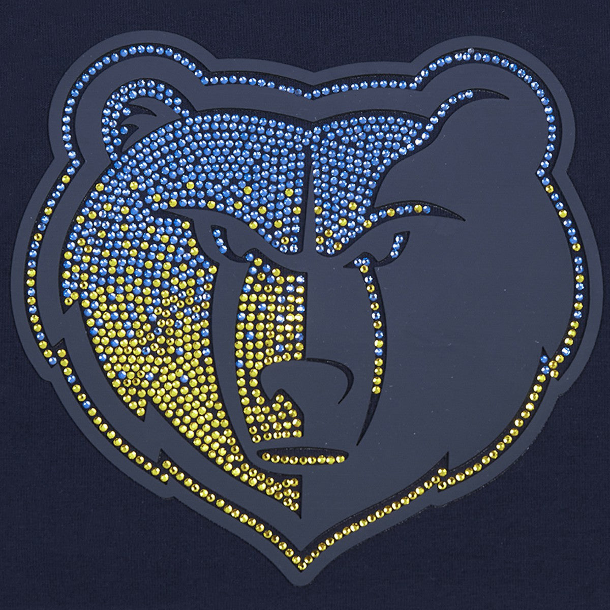Memphis Grizzlies Pro Standard Women's Jewels Boxy Cropped T-Shirt