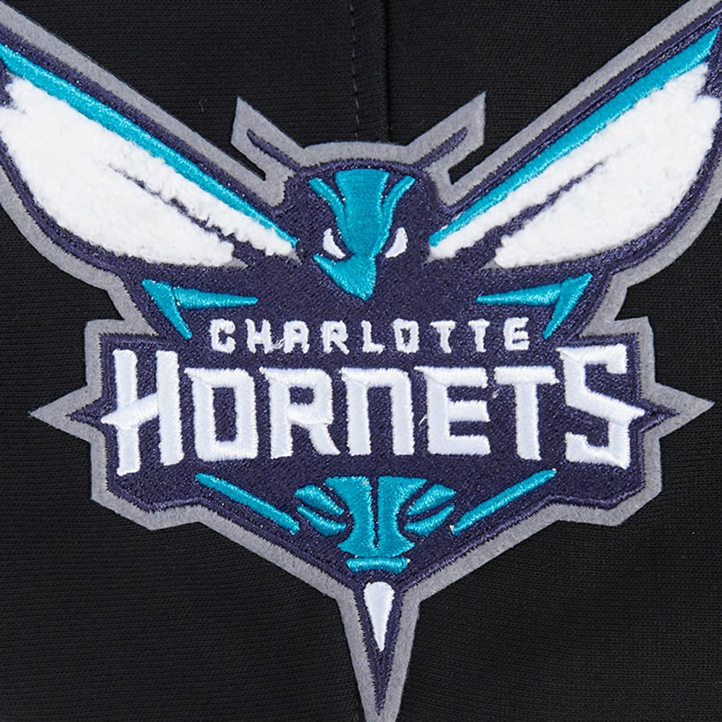 Charlotte Hornets Pro Standard Area Code Pullover Hoodie