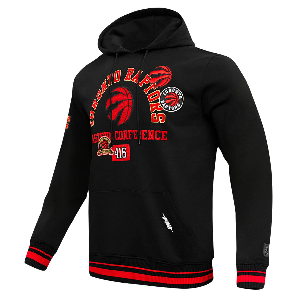 Toronto Raptors Pro Standard Area Code Pullover Hoodie