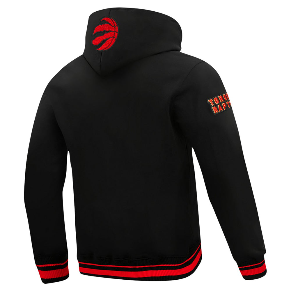 Toronto Raptors Pro Standard Area Code Pullover Hoodie