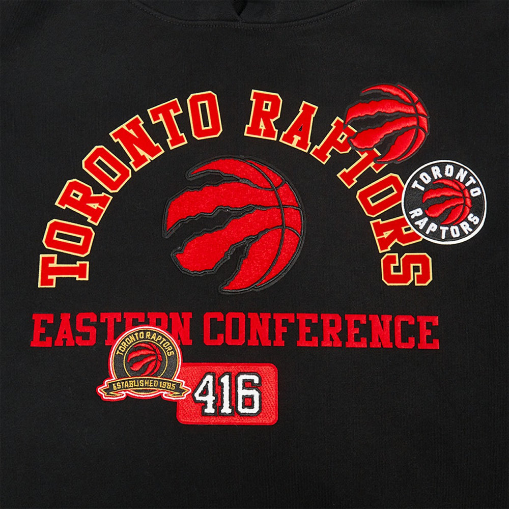 Toronto Raptors Pro Standard Area Code Pullover Hoodie