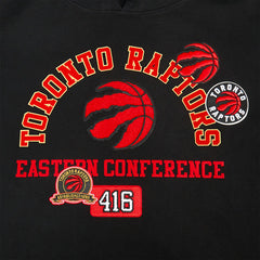 Toronto Raptors Pro Standard Area Code Pullover Hoodie