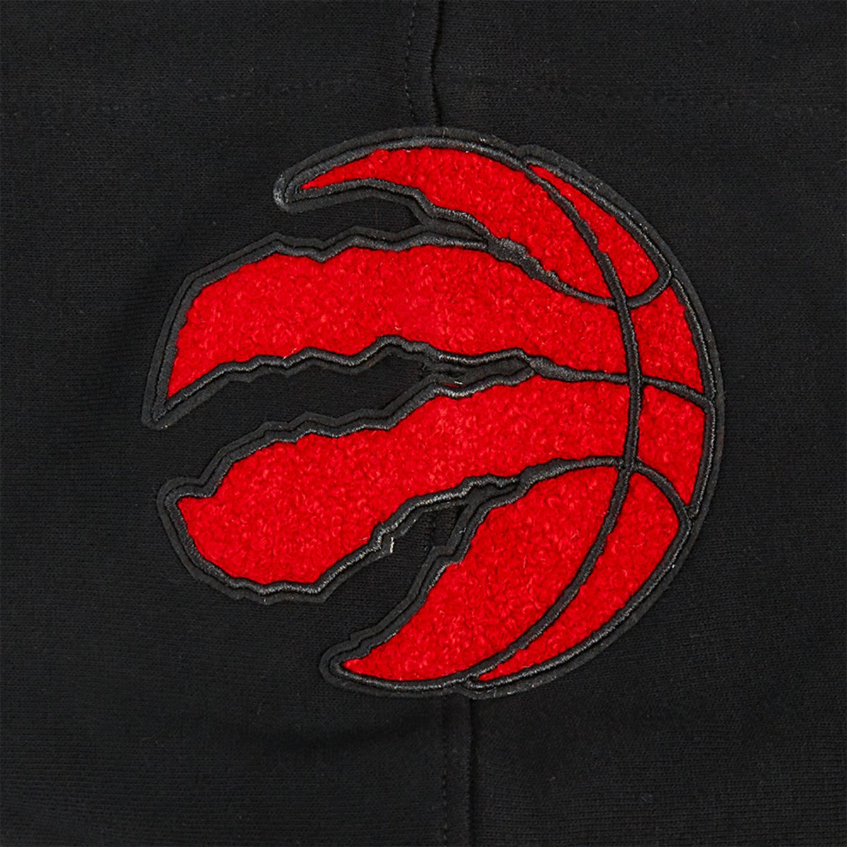 Toronto Raptors Pro Standard Area Code Pullover Hoodie