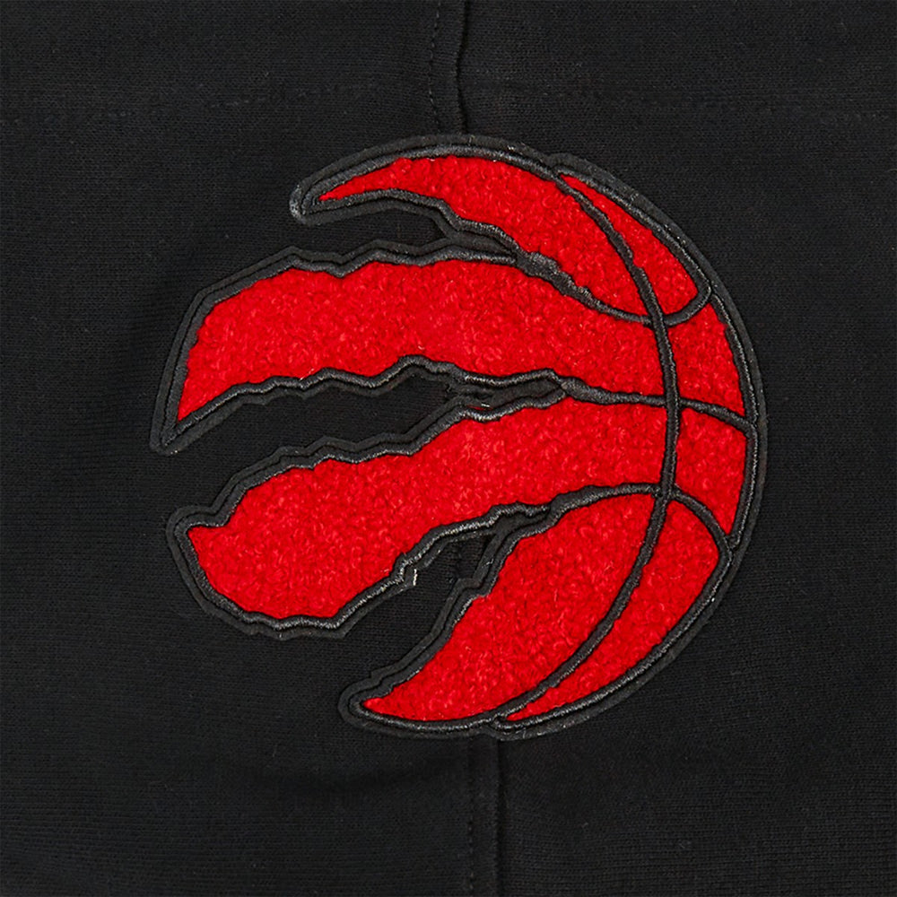 Toronto Raptors Pro Standard Area Code Pullover Hoodie