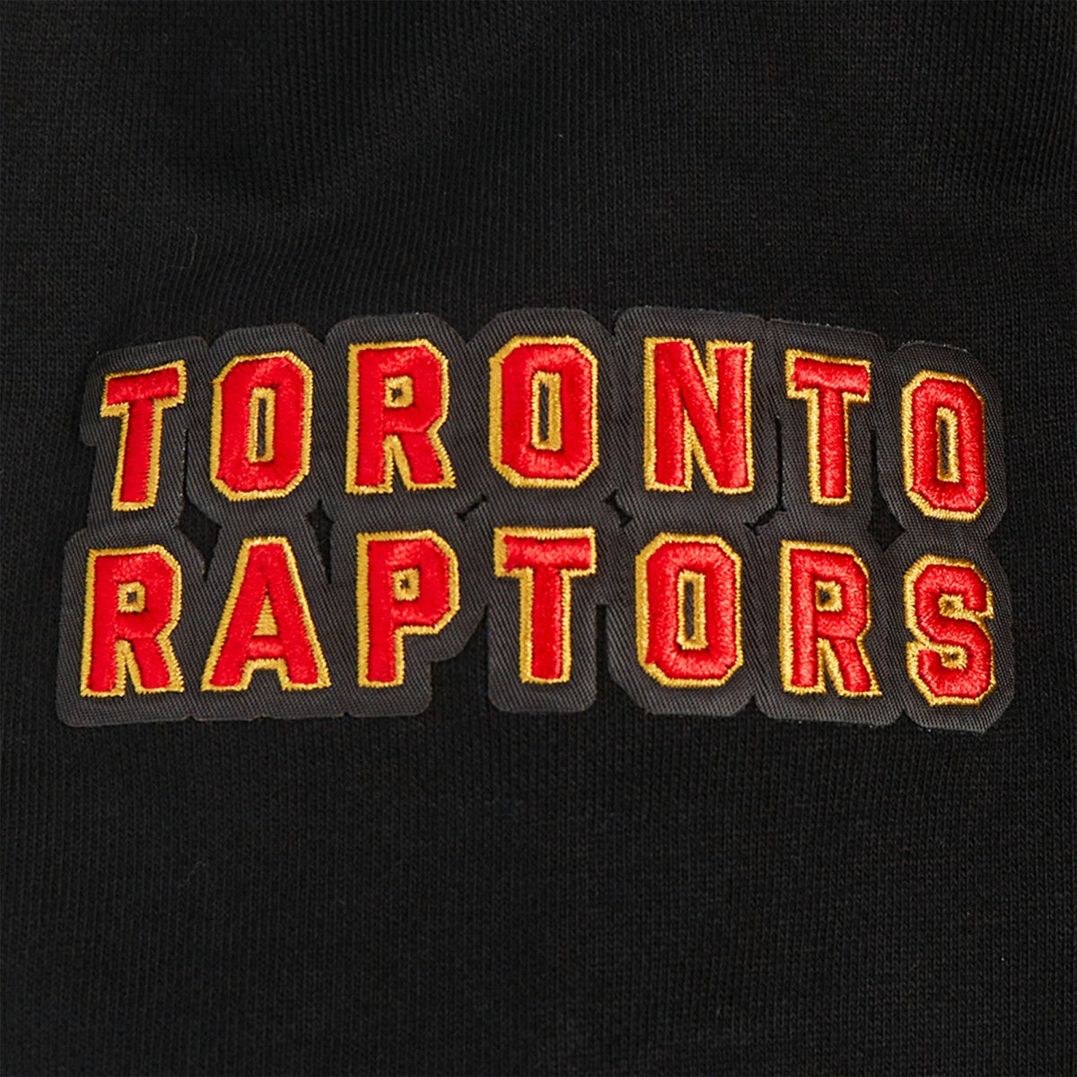 Toronto Raptors Pro Standard Area Code Pullover Hoodie