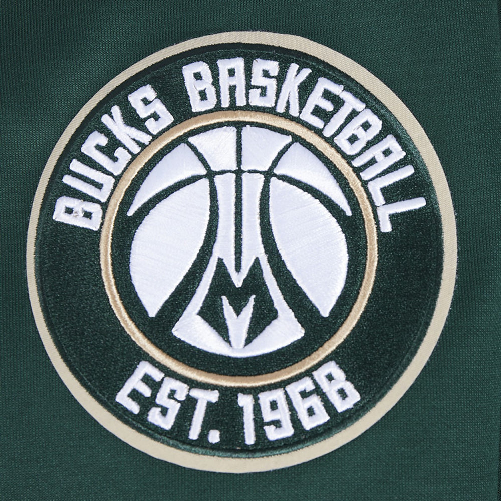 Milwaukee Bucks Pro Standard Split Logo Pullover Hoodie